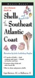 Shells of the Southeast Atlantic Coast 2004 9781893770102 Front Cover