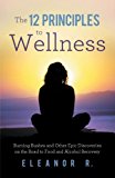 The 12 Principles to Wellness: Burning Bushes and Other Epic Discoveries on the Road to Food and Alcohol Recovery 2012 9781452554105 Front Cover