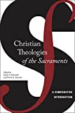 Christian Theologies of the Sacraments A Comparative Introduction  9780814770108 Front Cover
