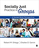 Socially Just Practice in Groups A Social Work Perspective  9781412995108 Front Cover