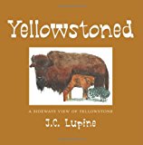 Yellowstoned A Sideways Look at Yellowstone 2012 9781475154108 Front Cover