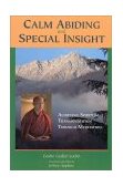 Walking Through Walls: A Presentation of Tibetan Meditation 1998 9781559391108 Front Cover