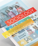 Sociology: A Brief Introduction cover art