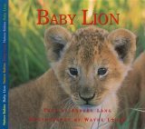 Baby Lion 2003 9781550417111 Front Cover