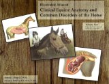 Illustrated Atlas of Clinical Equine Anatomy and Common Disorders of the Horse Vol. 2 : Reproduction, Internal Medicine and Skin