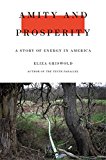 Amity and Prosperity One Family and the Fracturing of America  9780374103118 Front Cover