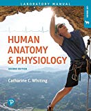 Human Anatomy and Physiology Laboratory Manual Making Connections, Cat Version 2nd 9780134609119 Front Cover
