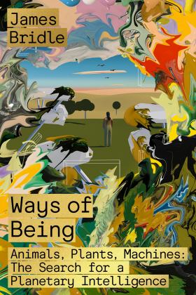 Ways of Being Animals, Plants, Machines: the Search for a Planetary Intelligence  9780374601119 Front Cover