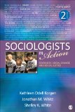 Sociologists in Action Sociology, Social Change, and Social Justice cover art