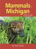 Mammals of Michigan Field Guide  cover art