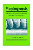 Morphogenesis The Cellular and Molecular Processes of Developmental Anatomy 1992 9780521436120 Front Cover