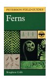 Field Guide to Ferns and Their Related Families Northeastern and Central North America with a Section on Species Also Found in the British Isles and Western Europe  9780395975121 Front Cover