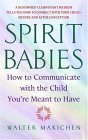 Spirit Babies How to Communicate with the Child You're Meant to Have 2005 9780385338127 Front Cover