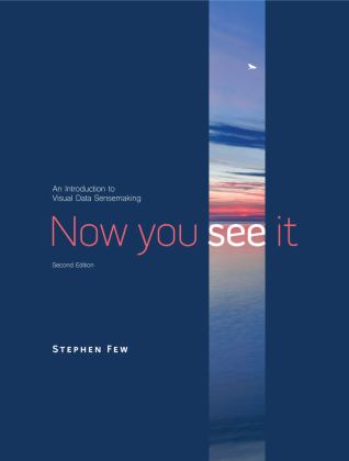 Now You See It An Introduction to Visual Data Sensemaking 2nd 9781938377129 Front Cover