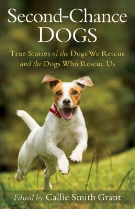 Second-chance Dogs: True Stories of the Dogs We Rescue and the Dogs Who Rescue Us  9780800727130 Front Cover