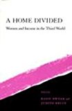 Home Divided Women and Income in the Third World 1993 9780804722131 Front Cover
