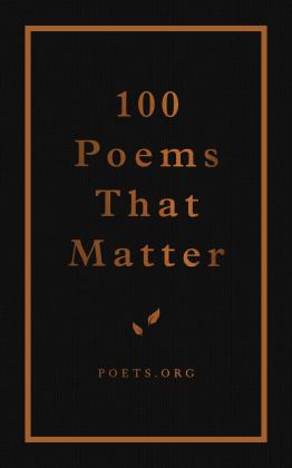 100 Poems That Matter  9781524858131 Front Cover