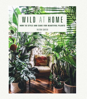 Wild at Home How to Style and Care for Beautiful Plants 2019 9781782497134 Front Cover