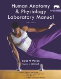Human Anatomy and Physiology Lab Manual, Fetal Pig Version 10th 9780321616135 Front Cover