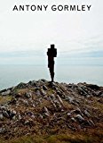 Antony Gormley  9780847860135 Front Cover