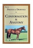 Equine Photos and Drawings for Conformation and Anatomy  9780935842135 Front Cover