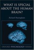 What Is Special about the Human Brain? 
