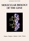 Molecular Biology of the Gene 4th 9780805396140 Front Cover
