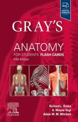 Gray's Anatomy for Students Flash Cards 5th 9780443105142 Front Cover