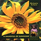 Handful of Sunshine Growing a Sunflower 2000 9781929927142 Front Cover