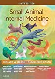 Small Animal Internal Medicine 6th 9780323570145 Front Cover