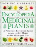 Encyclopedia of Medicinal Plants  9780751303148 Front Cover
