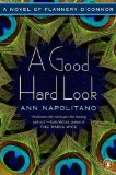 Good Hard Look A Novel cover art