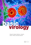Basic Virology  cover art