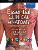 Essential Clinical Anatomy  cover art