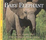 Baby Elephant 2003 9781550417159 Front Cover
