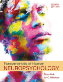 Fundamentals of Human Neuropsychology 8th 9781319247164 Front Cover