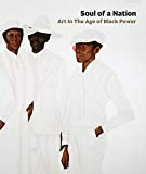 Soul of a Nation Art in the Age of Black Power  9781942884170 Front Cover