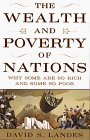 Wealth and Poverty of Nations Why Some Are So Rich and Some So Poor  9780393040173 Front Cover