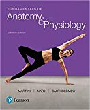 For Fundamentals of Anatomy and Physiology 11th 9780134509174 Front Cover