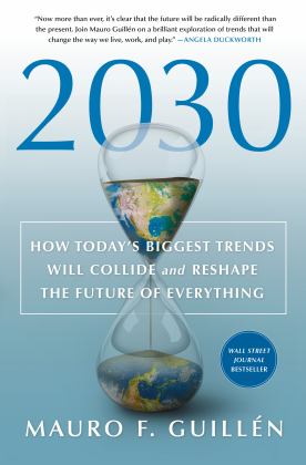 2030: How Today's Biggest Trends Will Collide and Reshape the Future of Everything  9781250268174 Front Cover