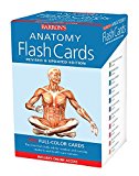 Anatomy Flash Cards 3rd 9781438077178 Front Cover