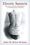 Electric Santerï¿½a Racial and Sexual Assemblages of Transnational Religion  9780231173179 Front Cover