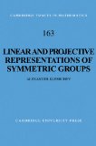 Linear and Projective Representations of Symmetric Groups 2009 9780521104180 Front Cover