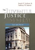 Juvenile Justice System Law and Process cover art