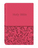 KJV Deluxe Gift and Award Bible (DiCarta Pink)  9781616265182 Front Cover