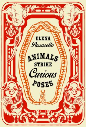 Animals Strike Curious Poses  9781956046182 Front Cover