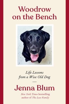 Woodrow on the Bench Life Lessons from a Wise Old Dog  9780063113183 Front Cover