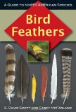 Bird Feathers A Guide to North American Species  9780811736183 Front Cover