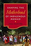 Shaping the Motherhood of Indigenous Mexico  9780826519184 Front Cover