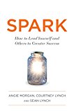 Spark How to Lead Yourself and Others to Greater Success  9780544716186 Front Cover